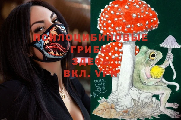 spice Киреевск